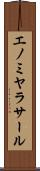 エノミヤラサール Scroll