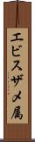 エビスザメ属 Scroll