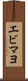 エビマヨ Scroll