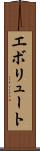 エボリュート Scroll