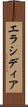 エラシディア Scroll