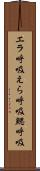 エラ呼吸 Scroll