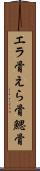 エラ骨 Scroll