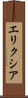 エリクシア Scroll