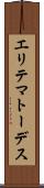 エリテマトーデス Scroll
