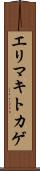 エリマキトカゲ Scroll