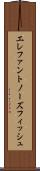 エレファントノーズフィッシュ Scroll