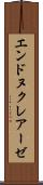 エンドヌクレアーゼ Scroll