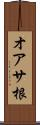 オアサ根 Scroll