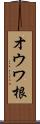 オウワ根 Scroll