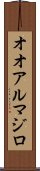 オオアルマジロ Scroll