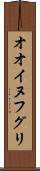 オオイヌフグリ Scroll