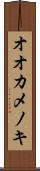 オオカメノキ Scroll