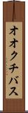 オオクチバス Scroll
