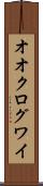 オオクログワイ Scroll