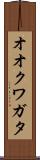 オオクワガタ Scroll