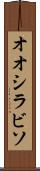 オオシラビソ Scroll