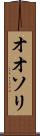 オオソリ Scroll