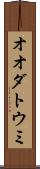 オオダトウミ Scroll