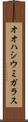 オオハシウミガラス Scroll