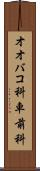 オオバコ科 Scroll