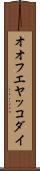 オオフエヤッコダイ Scroll