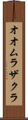 オオムラザクラ Scroll