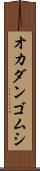 オカダンゴムシ Scroll