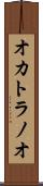 オカトラノオ Scroll