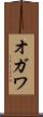 オガワ Scroll
