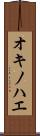 オキノハエ Scroll