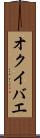 オクイバエ Scroll