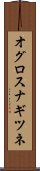オグロスナギツネ Scroll