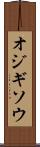 オジギソウ Scroll