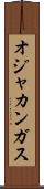 オジャカンガス Scroll