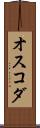 オスコダ Scroll