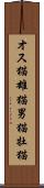 オス猫 Scroll