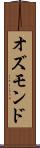 オズモンド Scroll