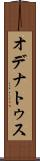 オデナトゥス Scroll