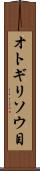 オトギリソウ目 Scroll