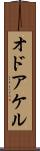 オドアケル Scroll