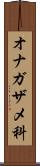 オナガザメ科 Scroll