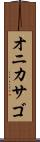 オニカサゴ Scroll