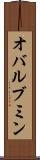 オバルブミン Scroll