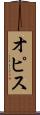 オピス Scroll