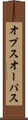 オプス Scroll