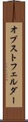 オプストフェルダー Scroll