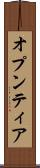 オプンティア Scroll