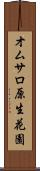オムサロ原生花園 Scroll