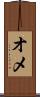 オメ Scroll